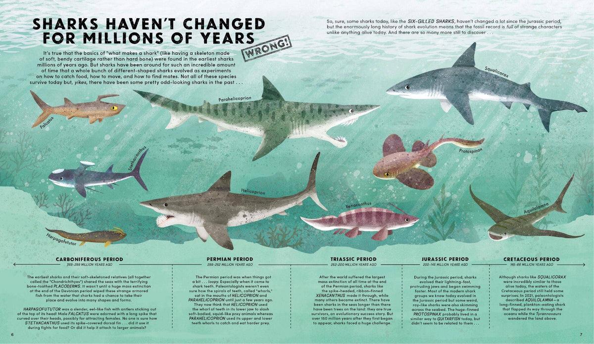 Everything You Know About Sharks Is Wrong!: Hardcover
