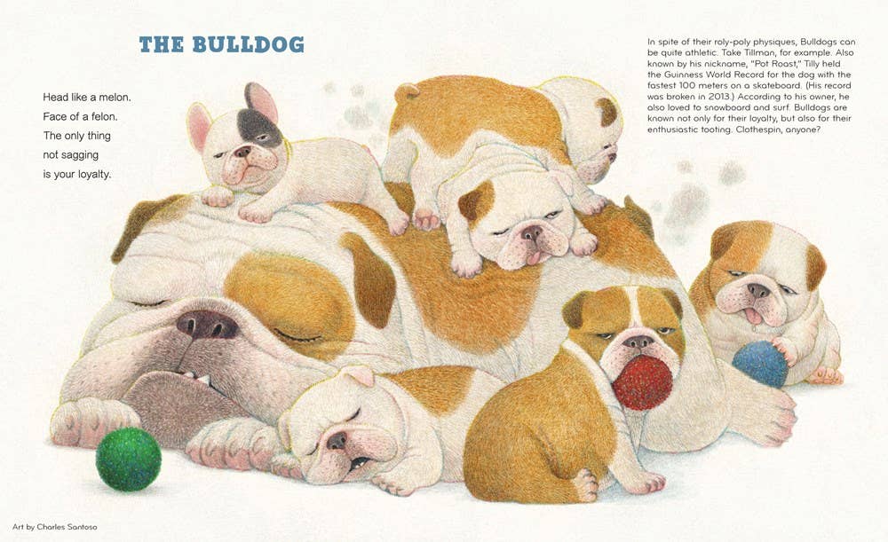 Best in Show : David Elliott