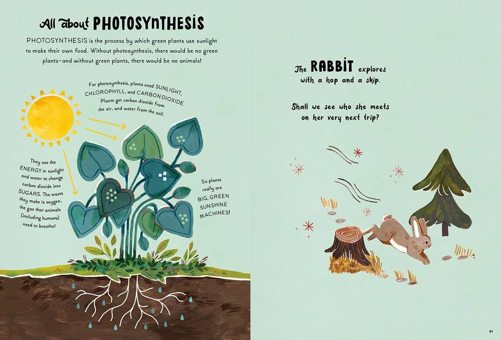 5-Minute Nature Stories