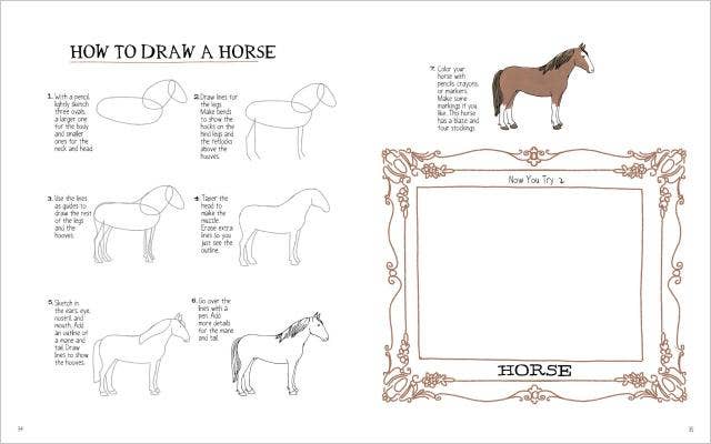 Farm Anatomy Activity Book: Trade Paperback