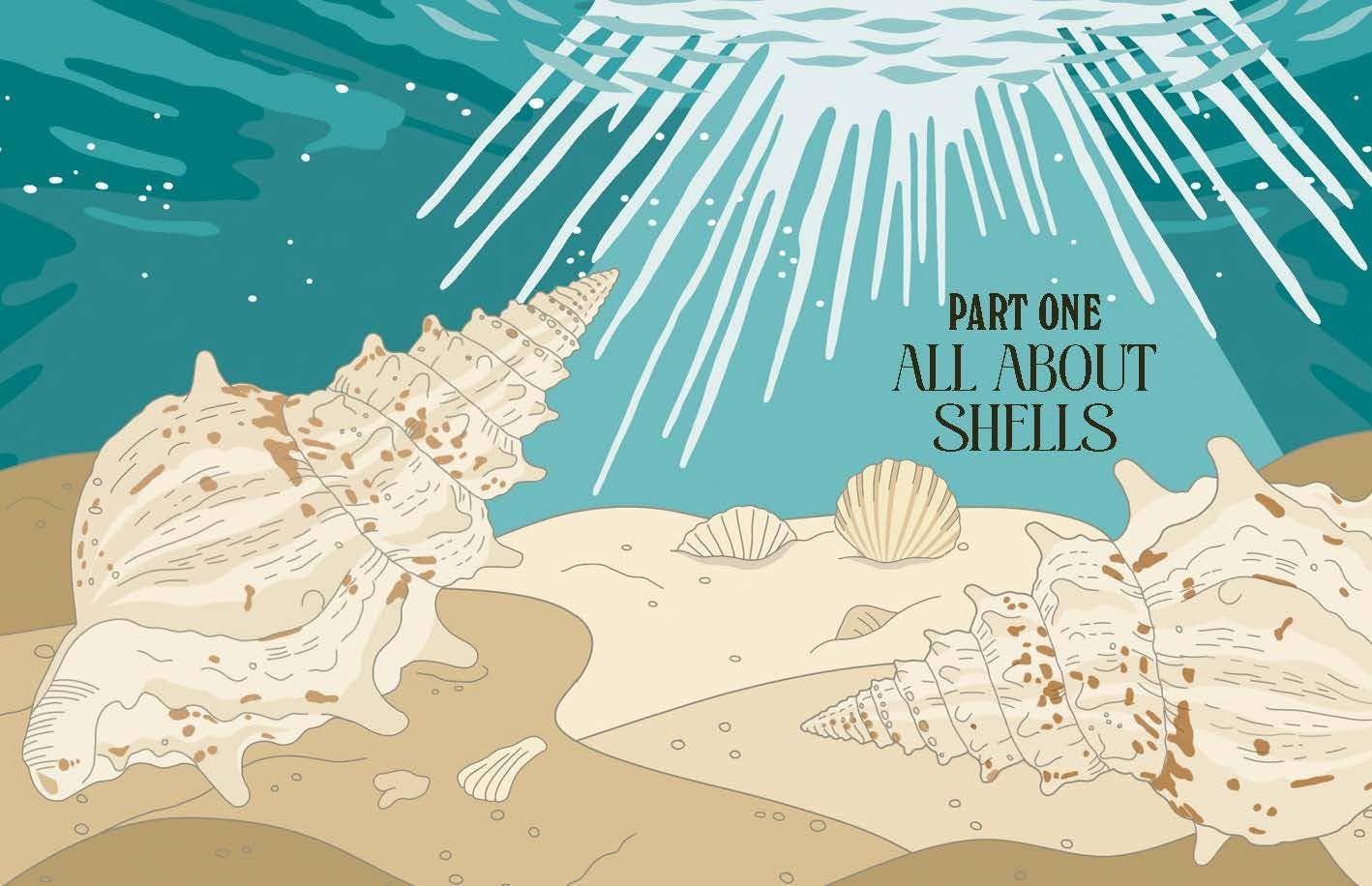 Shells