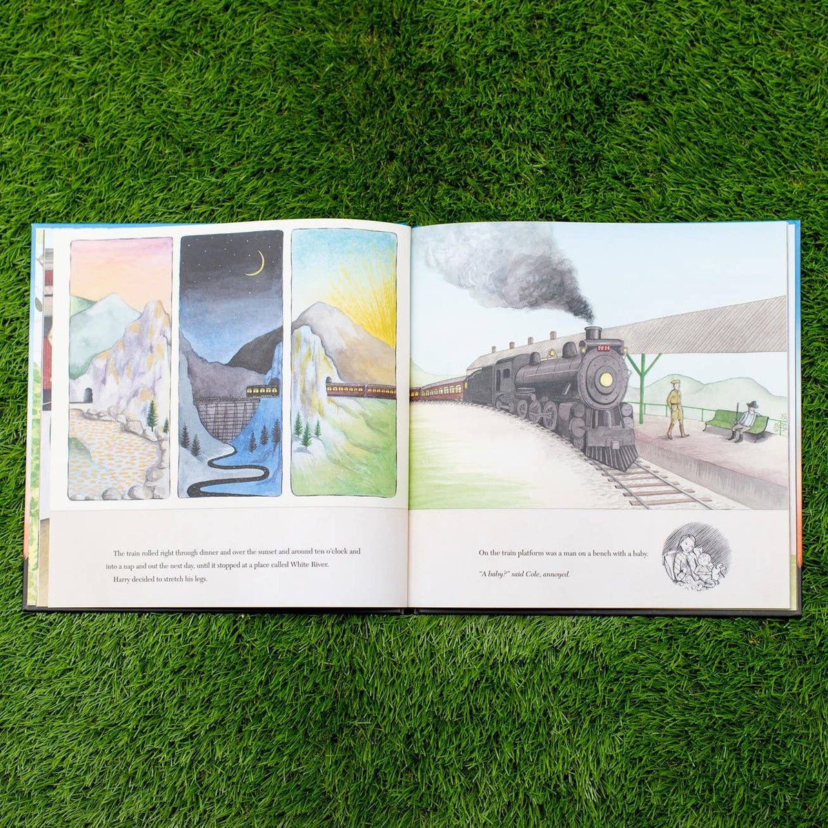 Finding Winnie: Hardcover