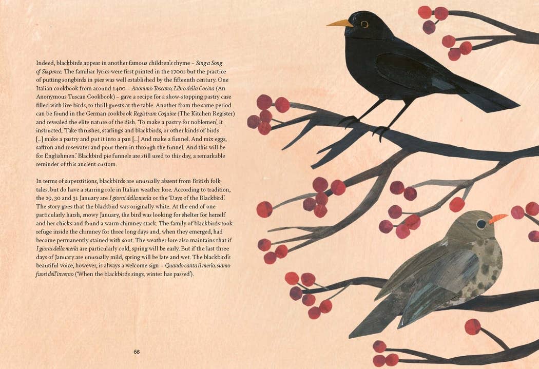 Bird Lore
