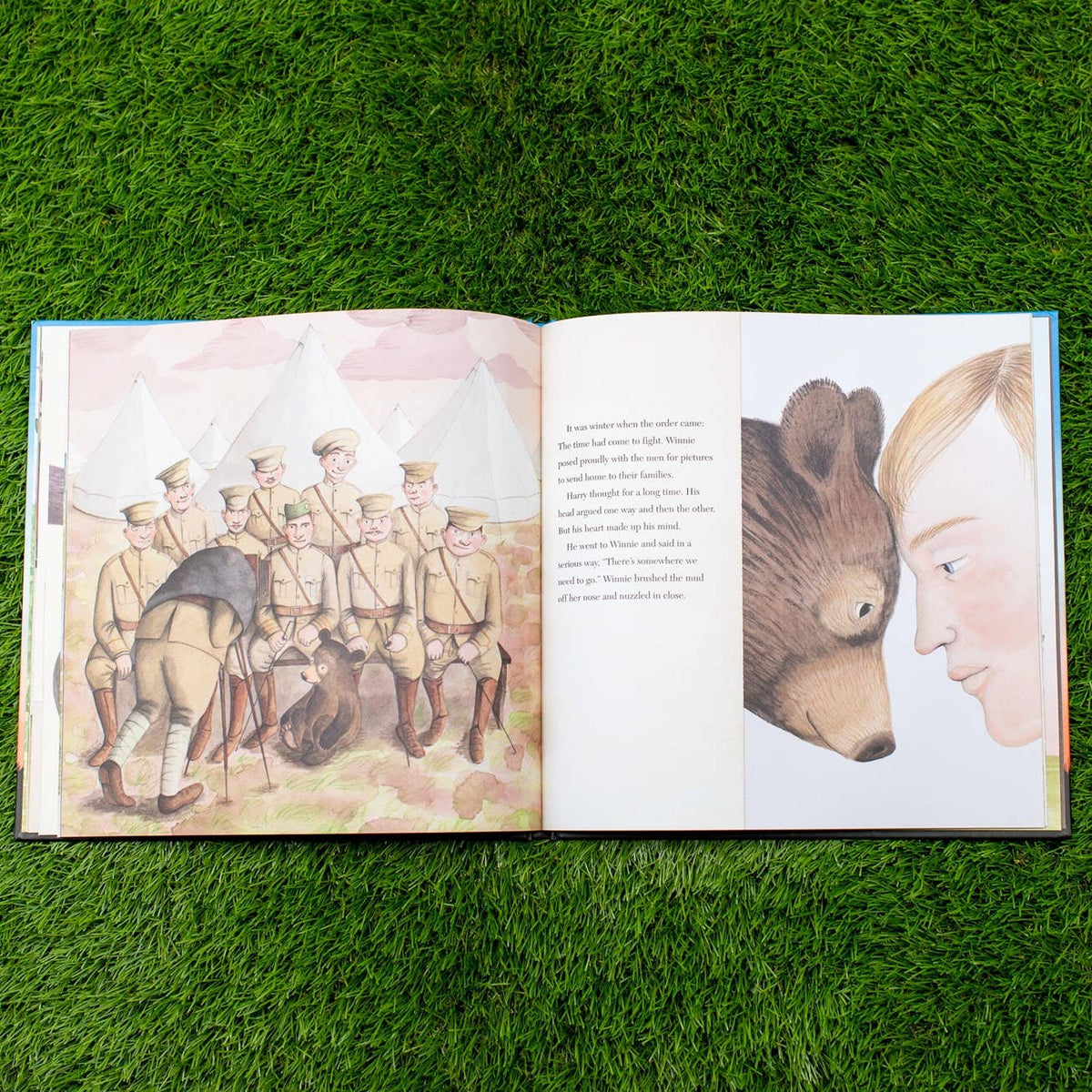 Finding Winnie: Hardcover