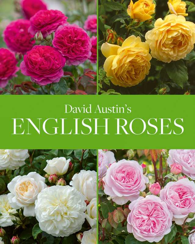 David Austin's English Roses by David Austin: Hardcover; 208 pages / English