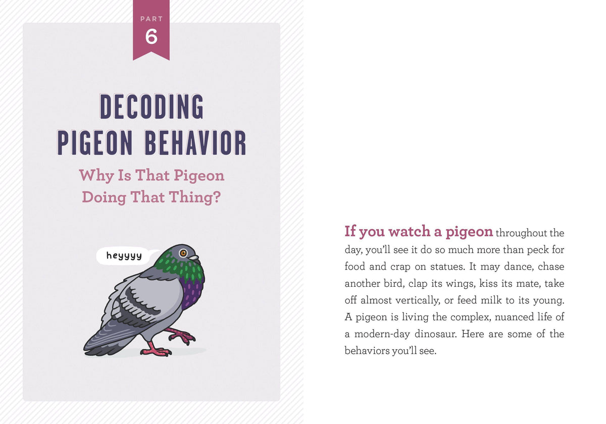 A Pocket Guide to Pigeon Watching: Trade Paperback