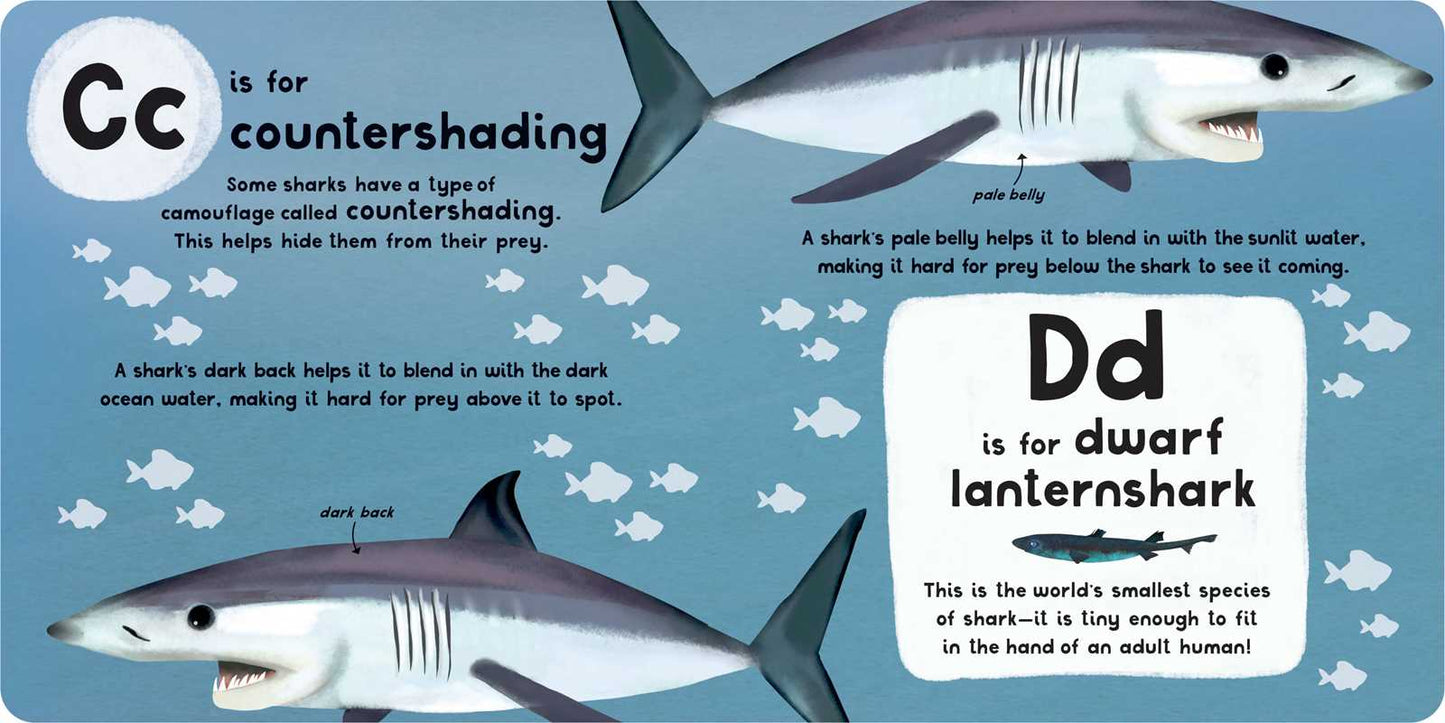 A-Z of Sharks by Editors of Silver Dolphin Books: Board Books; 30 pages / English
