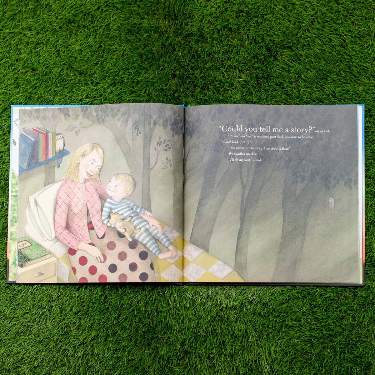 Finding Winnie: Hardcover