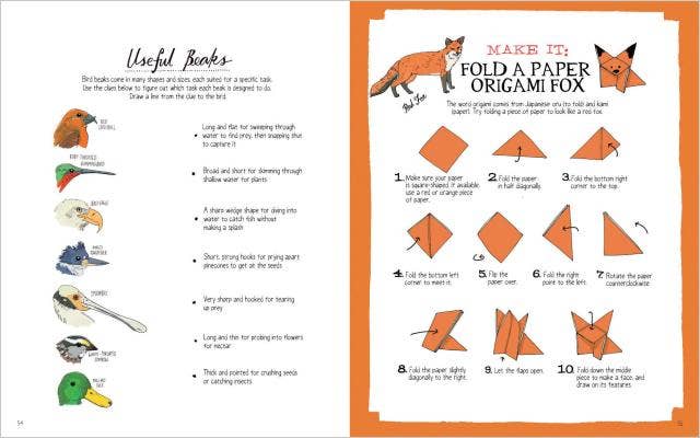 Nature Anatomy Activity Book: Trade Paperback