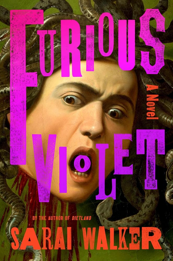 Furious Violet: A Novel cover image