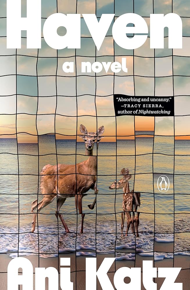 Haven: A Novel cover image
