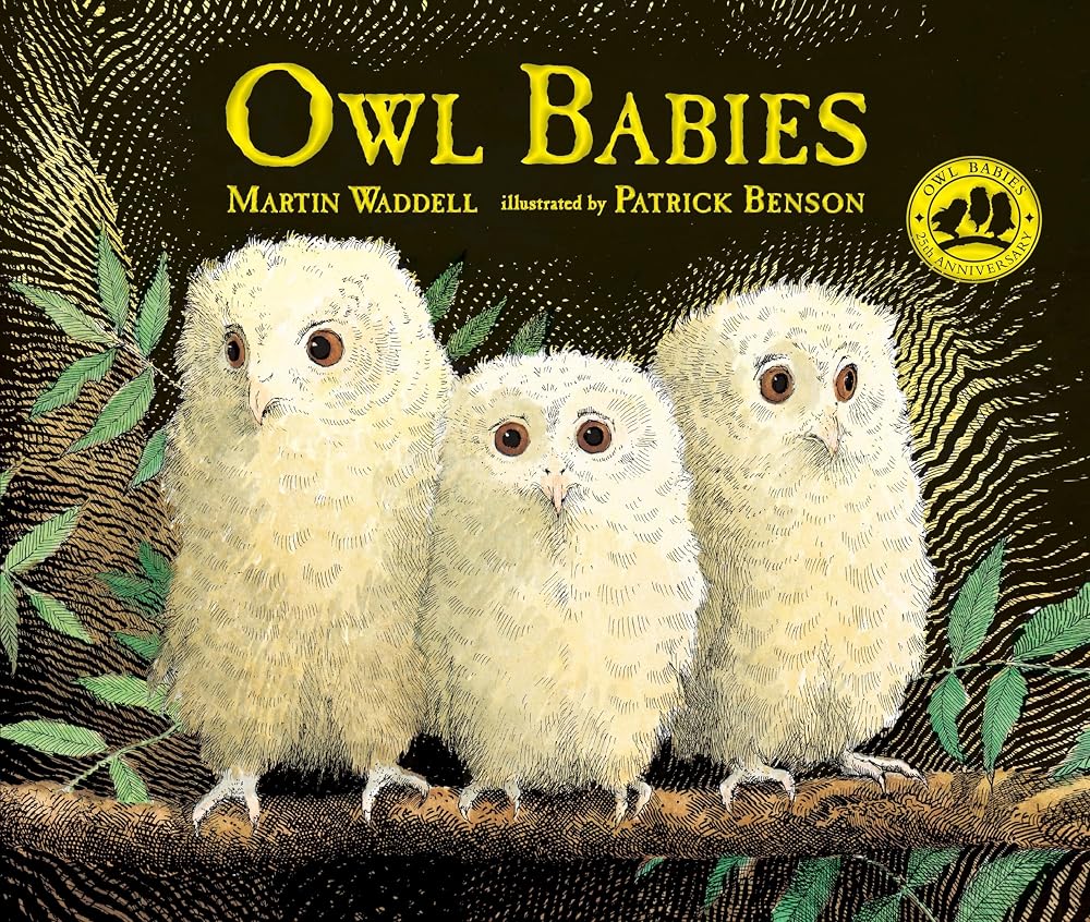 Owl Babies cover image