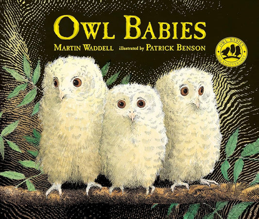 Owl Babies cover image