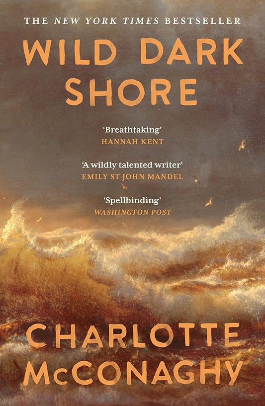 Wild Dark Shore cover image