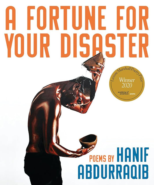 A Fortune for Your Disaster cover image