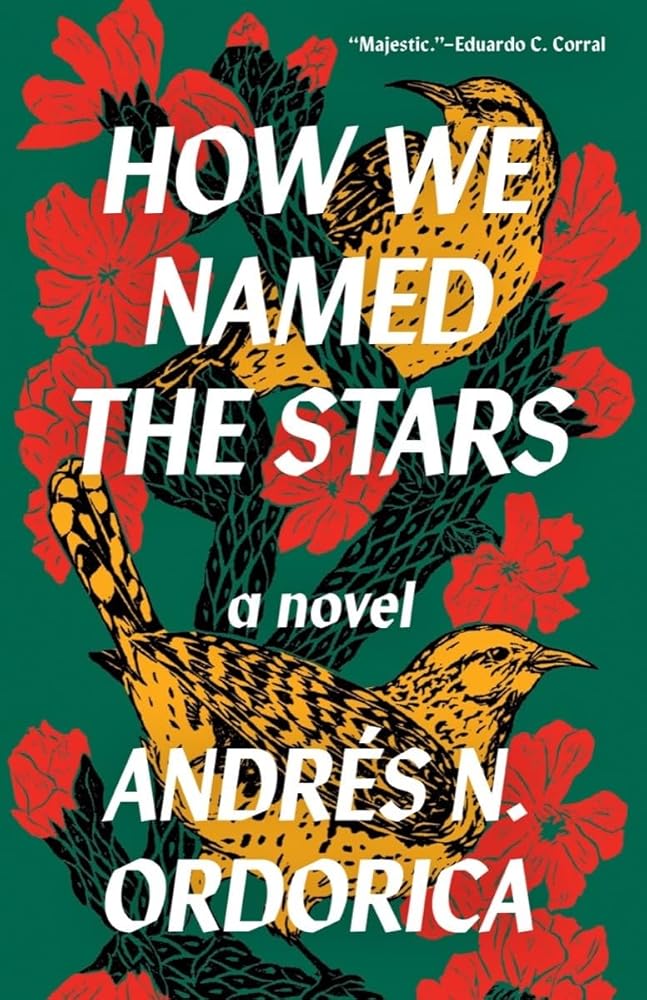 How We Named the Stars cover image