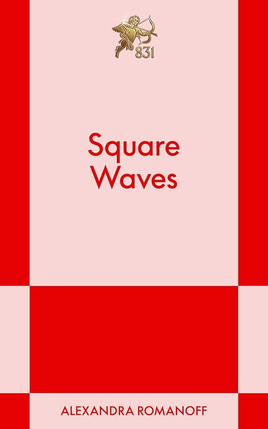 Square Waves: An 831 Stories Romance (2) (The Big Fan Series) cover image