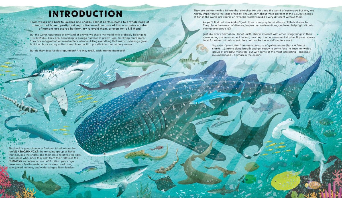 Everything You Know About Sharks Is Wrong!: Hardcover