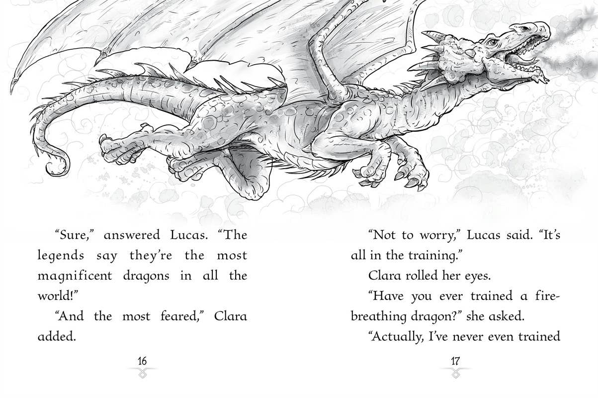 Scarlet Dragon by Jordan Quinn: Paperback; 128 pages / English