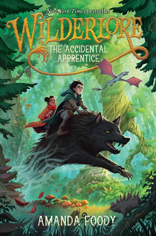 Accidental Apprentice by Amanda Foody: Paperback; 320 pages / English