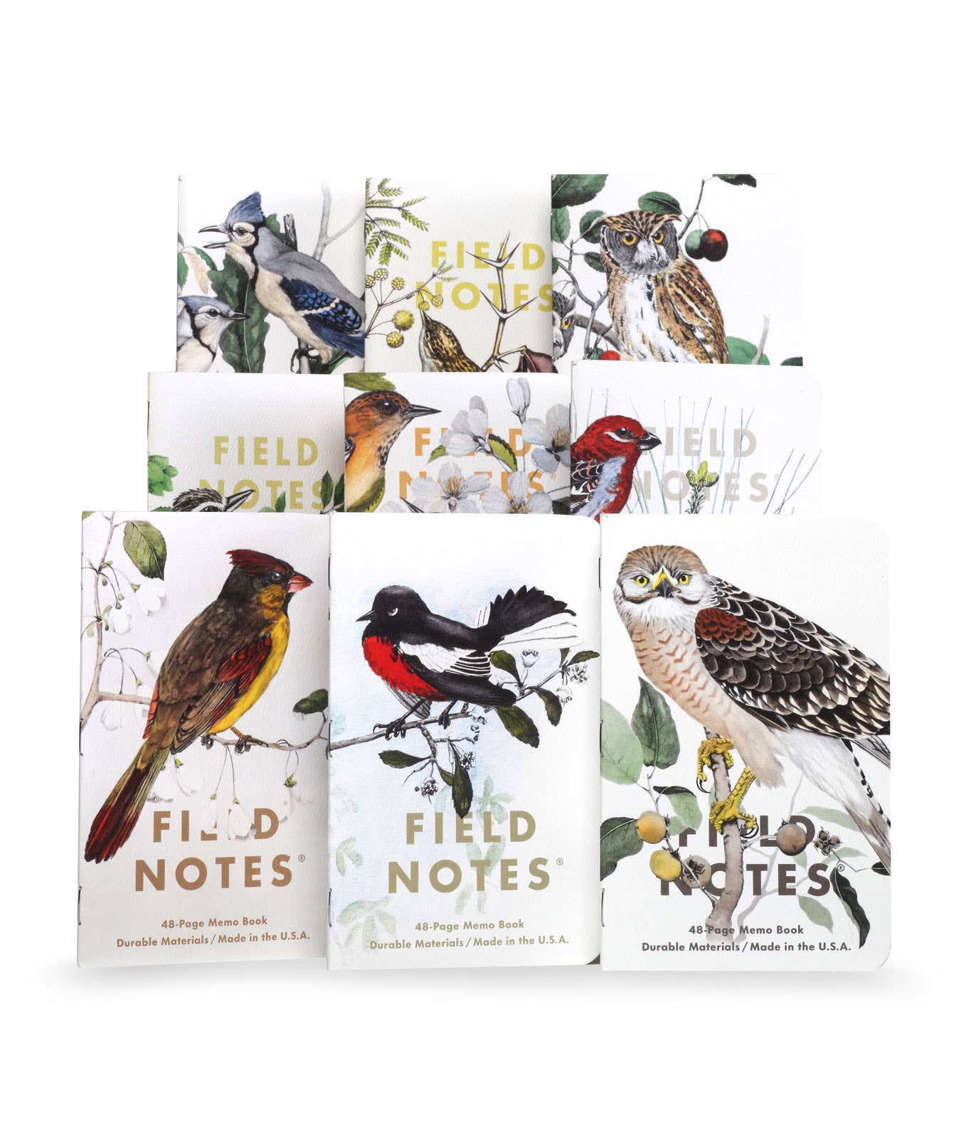 Birds and Trees of North America: Pack A: Screech Owl - Blue Jay - Brewer Sparrow