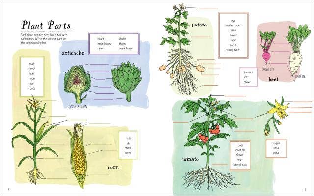 Farm Anatomy Activity Book: Trade Paperback