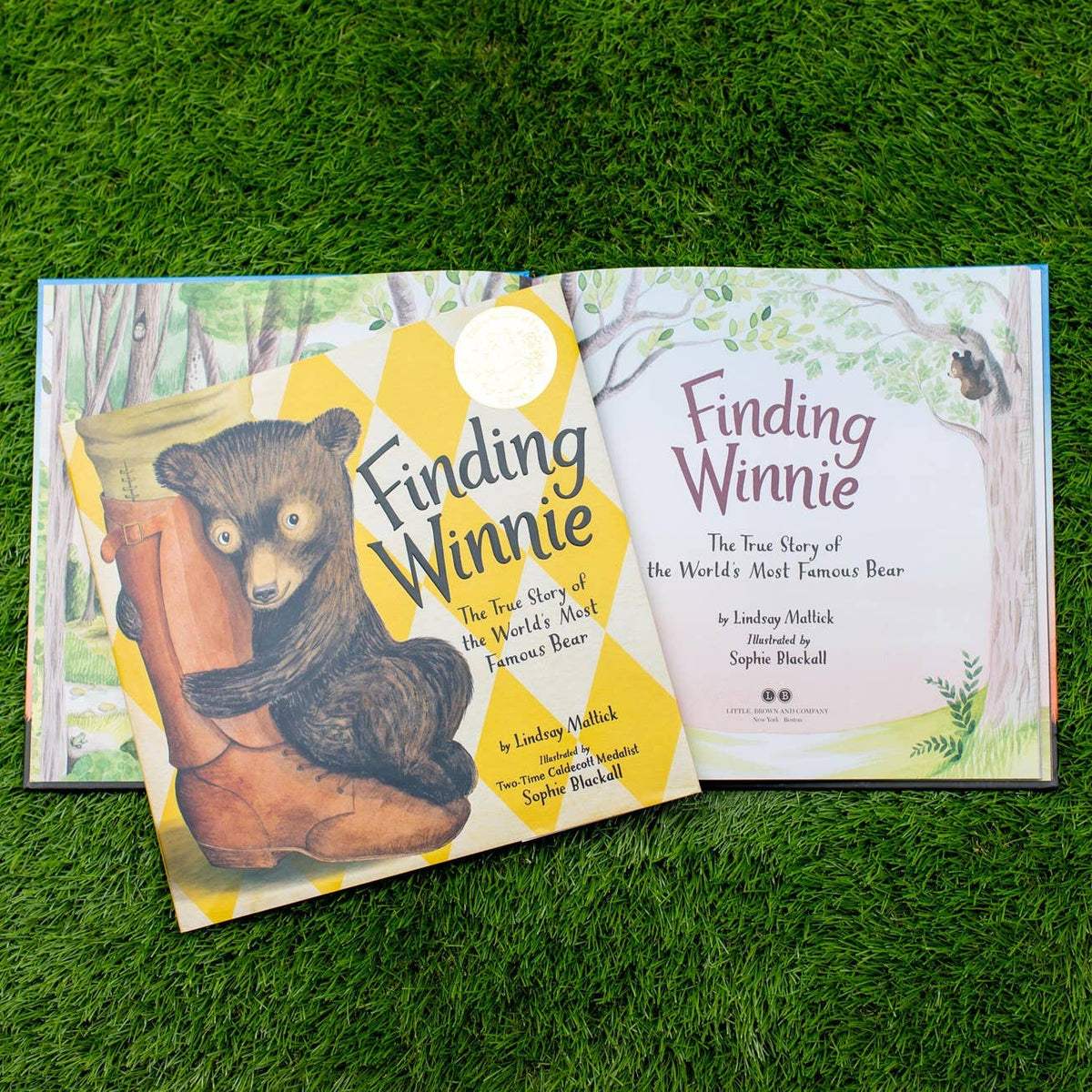 Finding Winnie: Hardcover
