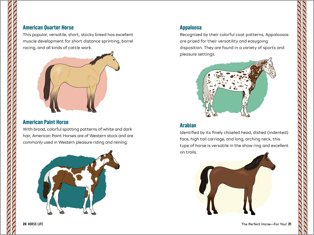Horse Life