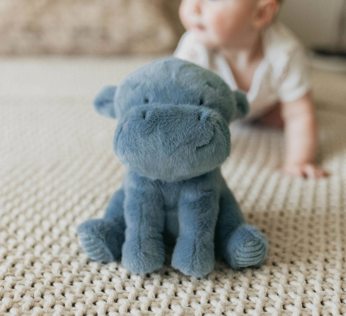 Little Henny the Hippo