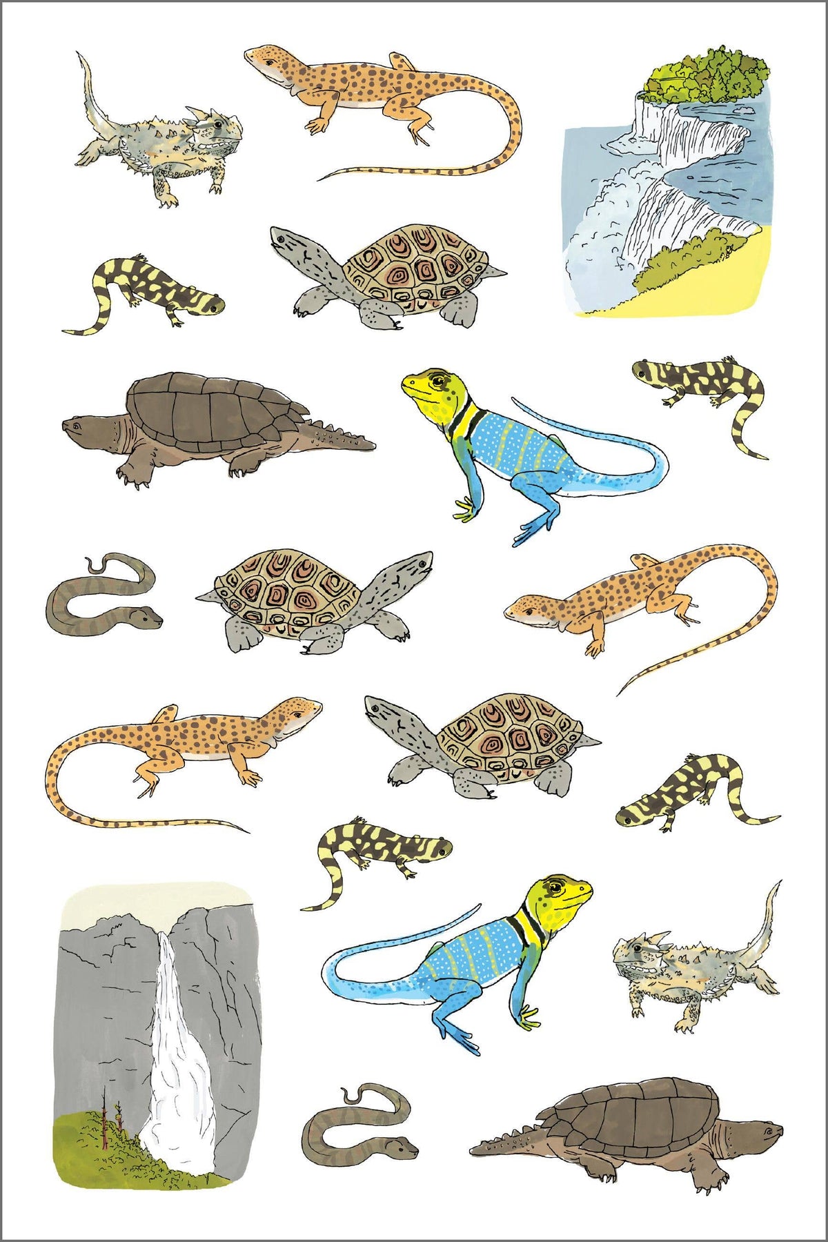 Nature Anatomy Sticker Book: Trade Paperback