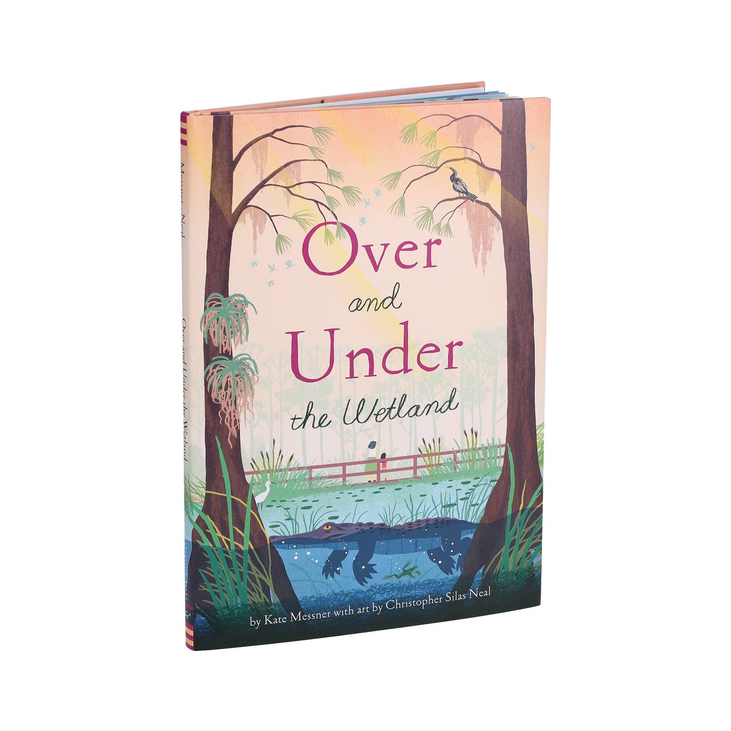 Over and Under the Wetland