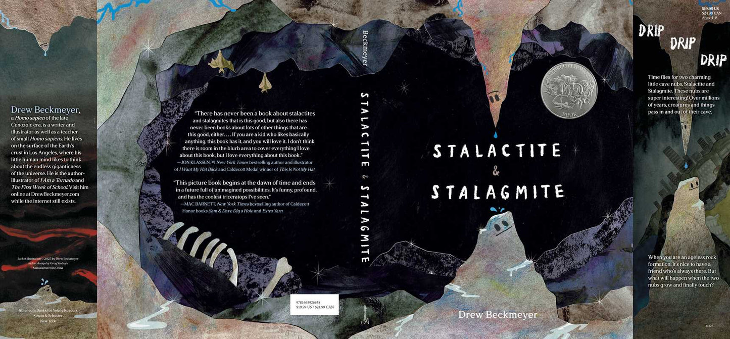 Stalactite & Stalagmite by Drew Beckmeyer: Hardcover; 40 pages / English