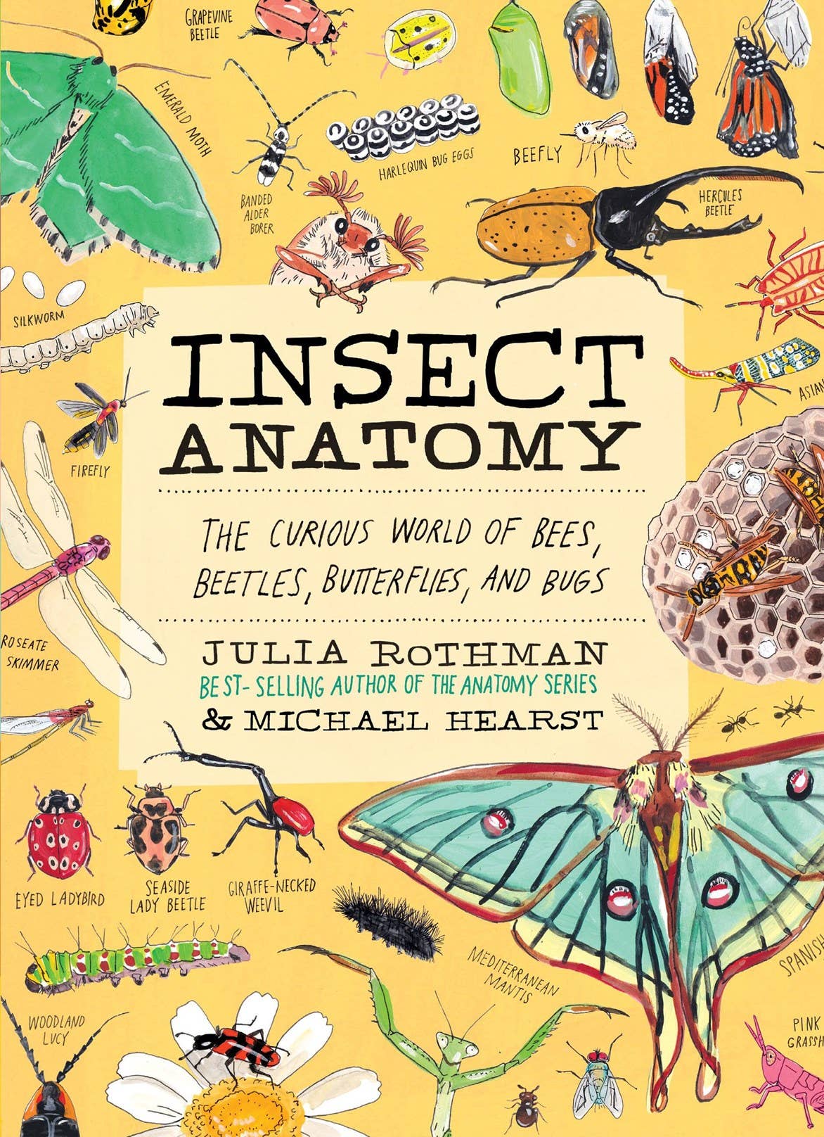 Insect Anatomy: Trade Paperback