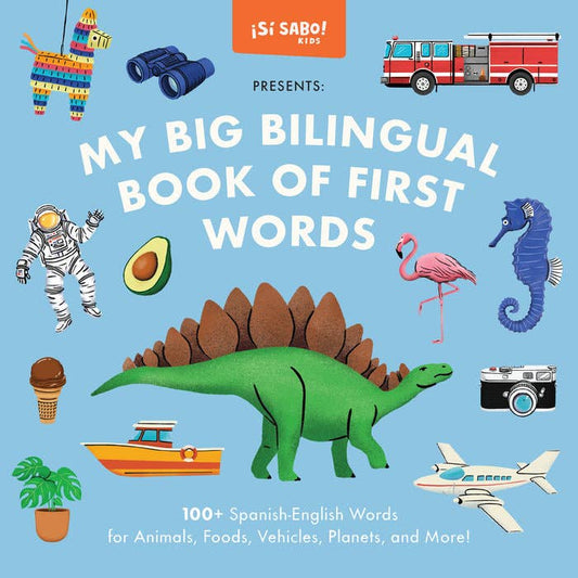 Big Bilingual Book First Words