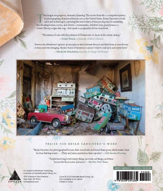 America the Abandoned: Hardcover