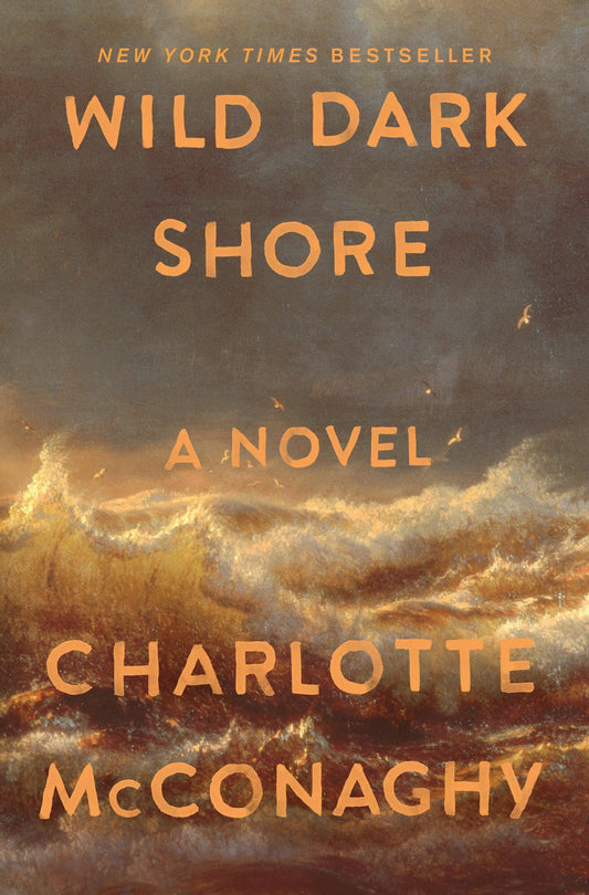Wild Dark Shore: A Novel