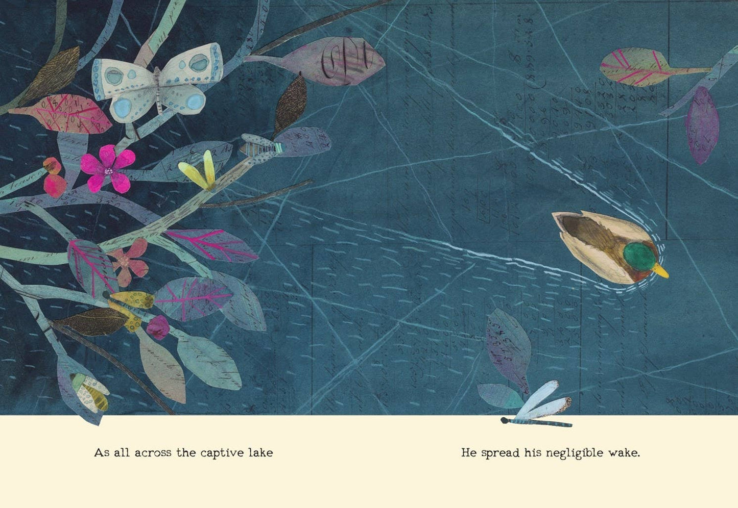 Duck Can't Sleep : E. B. White