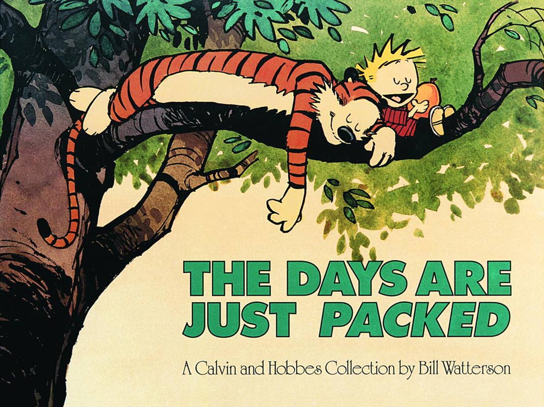Days Are Just Packed by Bill Watterson: Paperback; 176 pages / English