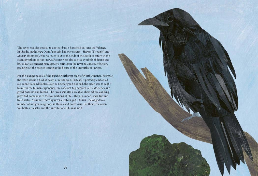 Bird Lore