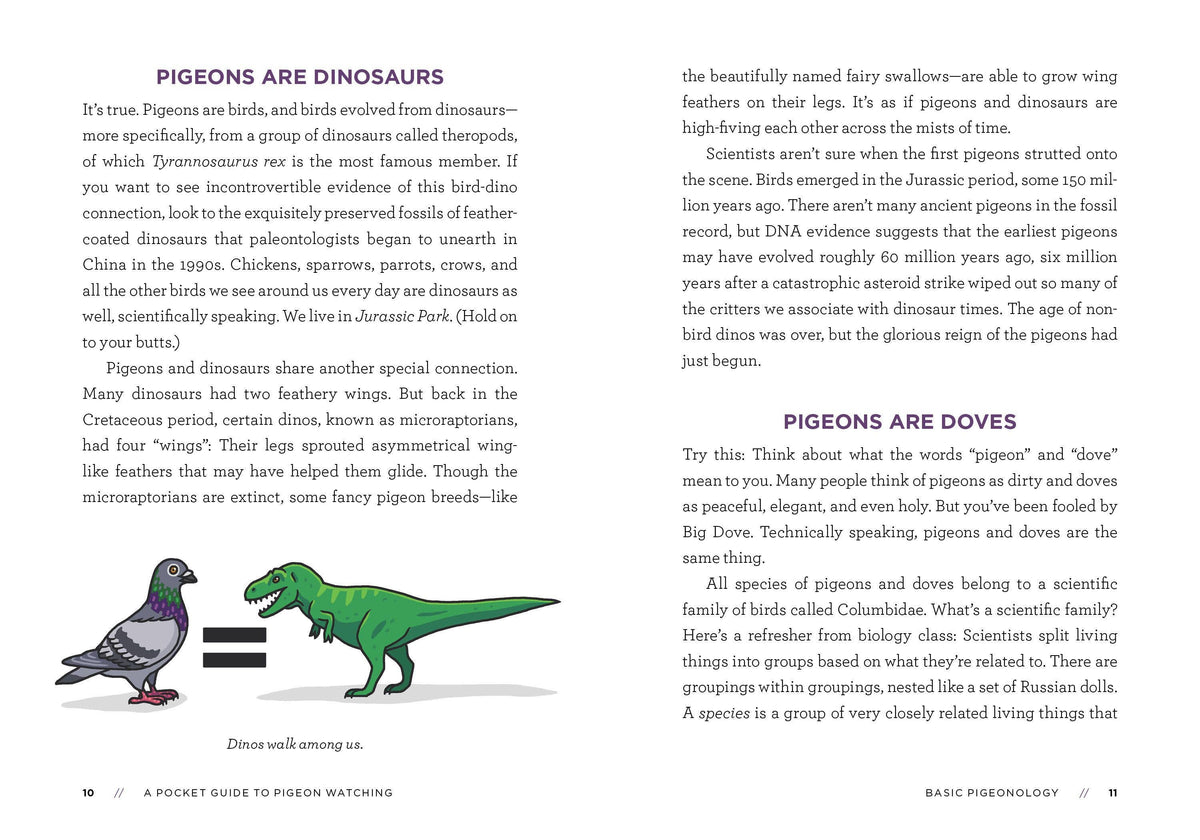 A Pocket Guide to Pigeon Watching: Trade Paperback