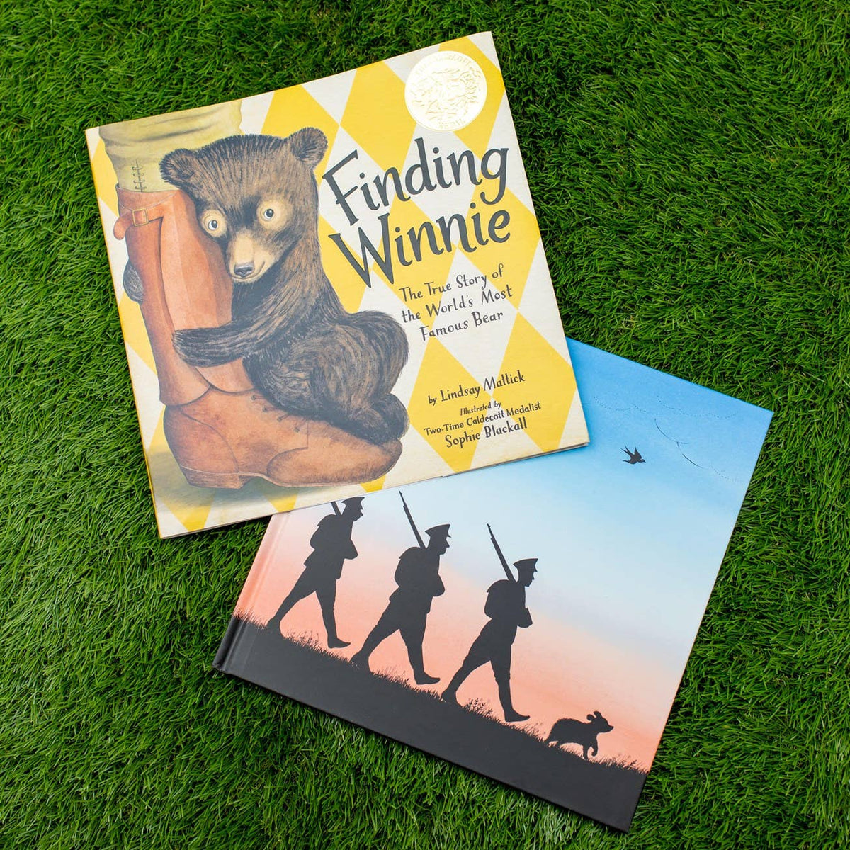 Finding Winnie: Hardcover